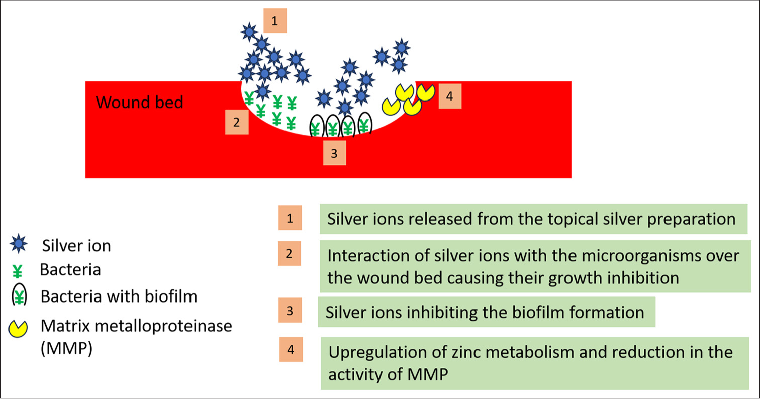 Role of silver in wound healing.